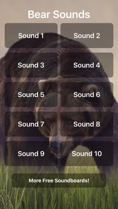 ภาพหน้าจอของ Bear Sounds!
