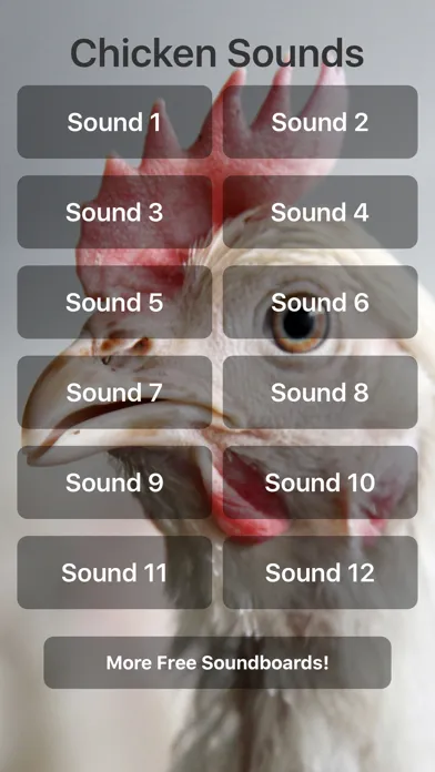 Chicken Sounds! スクリーンショット