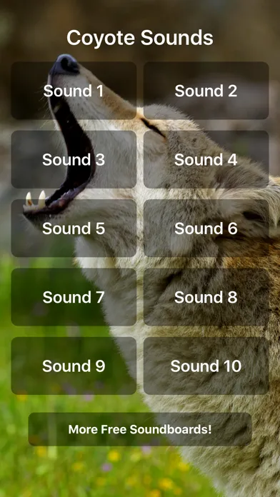Coyote Sounds! Screenshots