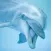 Dolphin Sounds!