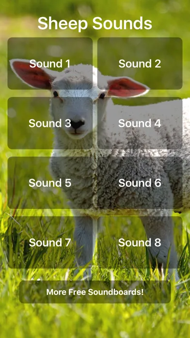 Sheep Sounds应用截图