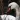 Swan Wallpapers
