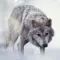 Wolf Sounds