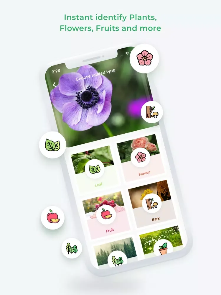 Zrzuty ekranu LeafSnap 2020 iPad 