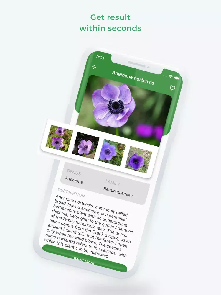 Zrzuty ekranu LeafSnap 2020 iPad 