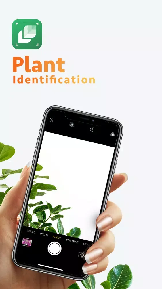 Zrzuty ekranu LeafSnap 2020