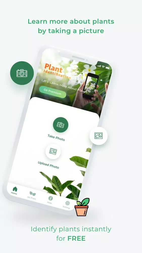 Zrzuty ekranu LeafSnap 2020