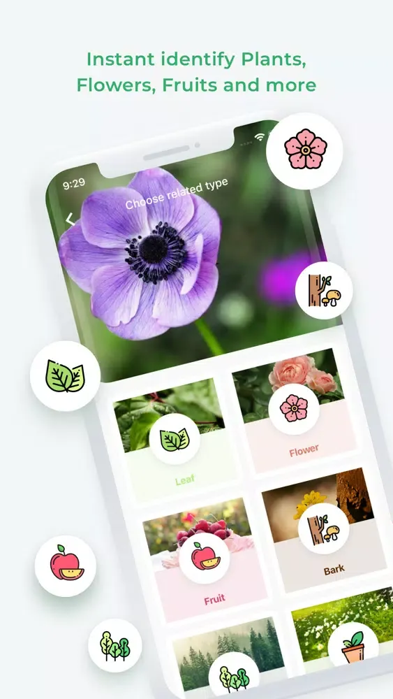 Zrzuty ekranu LeafSnap 2020