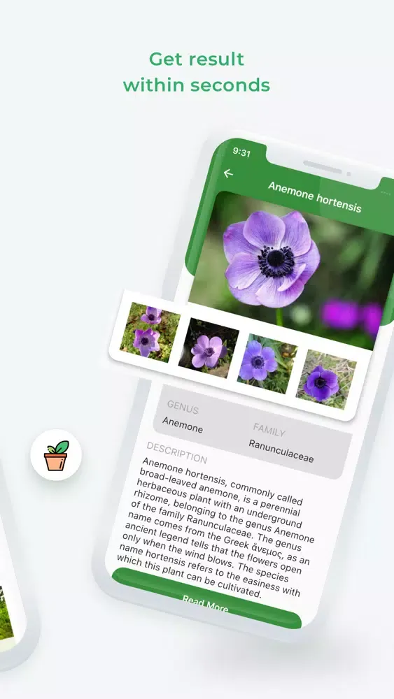 Zrzuty ekranu LeafSnap 2020