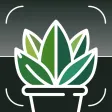 Tree & Plants Identifier app