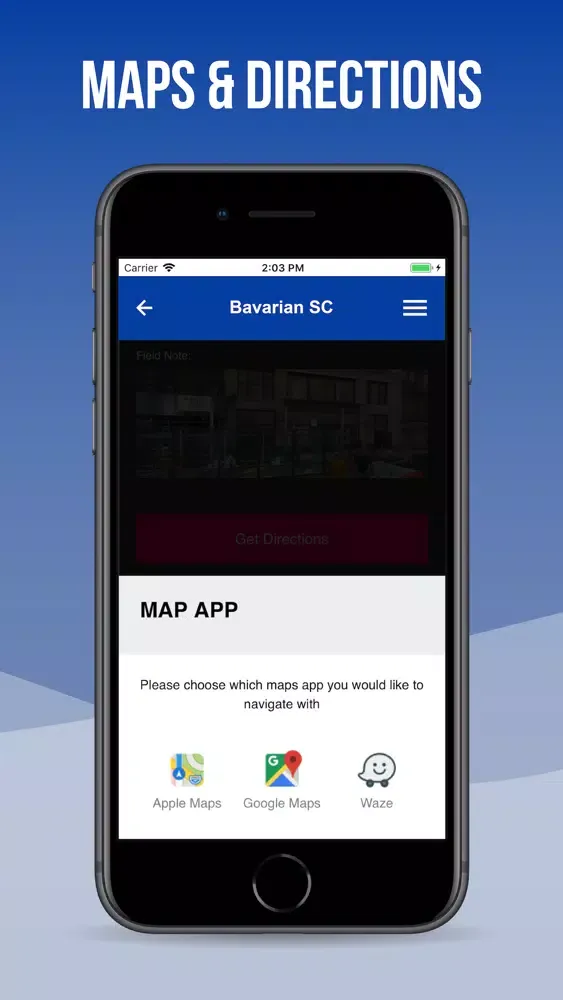 Скриншоты Bavarian Soccer Club