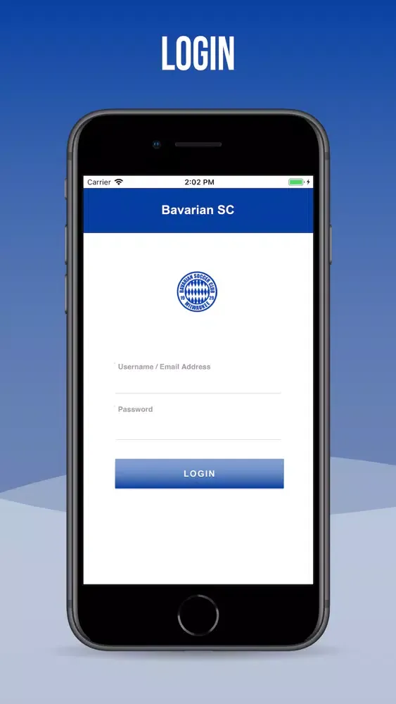Скриншоты Bavarian Soccer Club