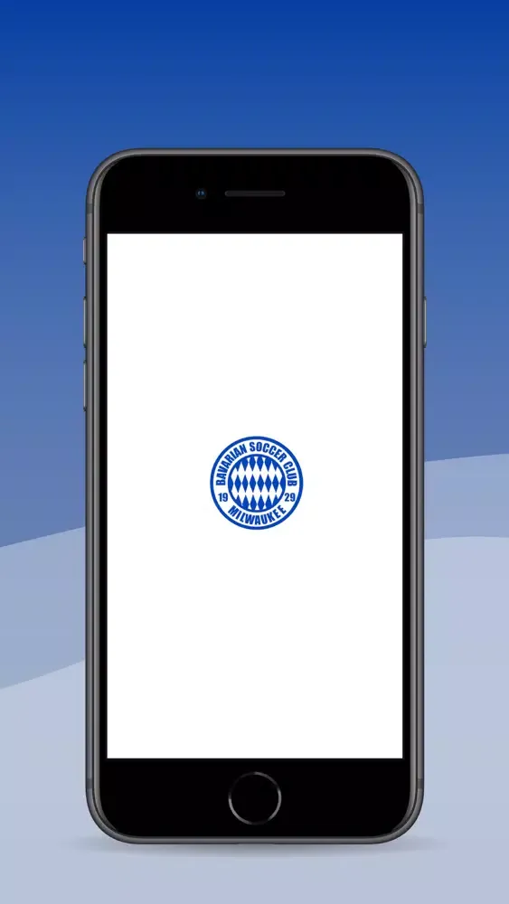 Скриншоты Bavarian Soccer Club