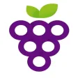 Ruta del Vino App Ruta del Vino App