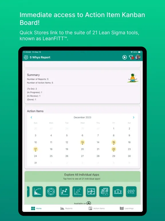 Lean 5 Whys Rpt iPad  Screenshots