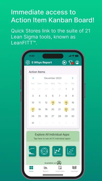 Lean 5 Whys Rpt Screenshots