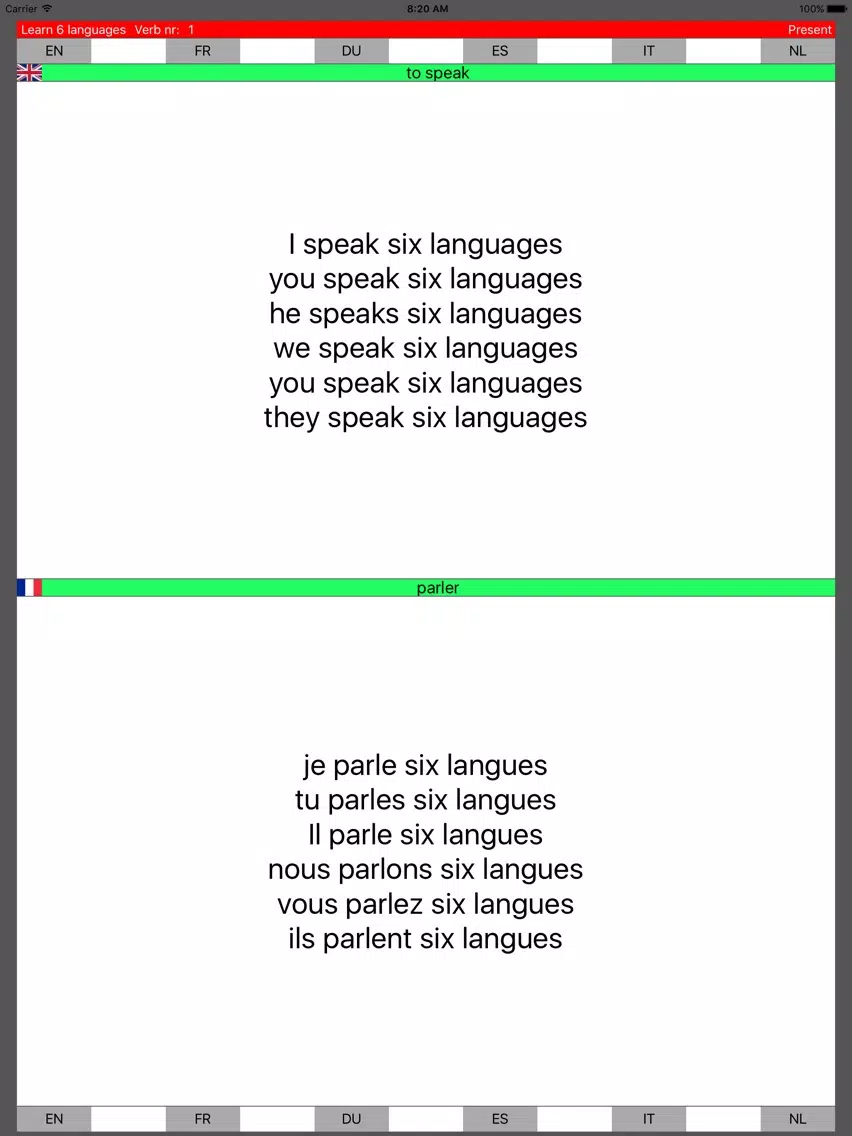 Learn 6 languages simultane using verbs PRO iPad 应用截图