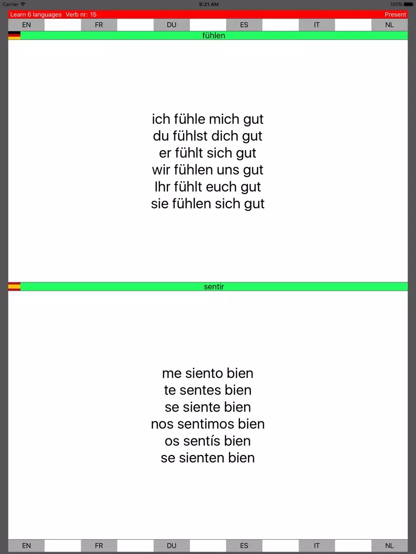 Learn 6 languages simultane using verbs PRO iPad 应用截图