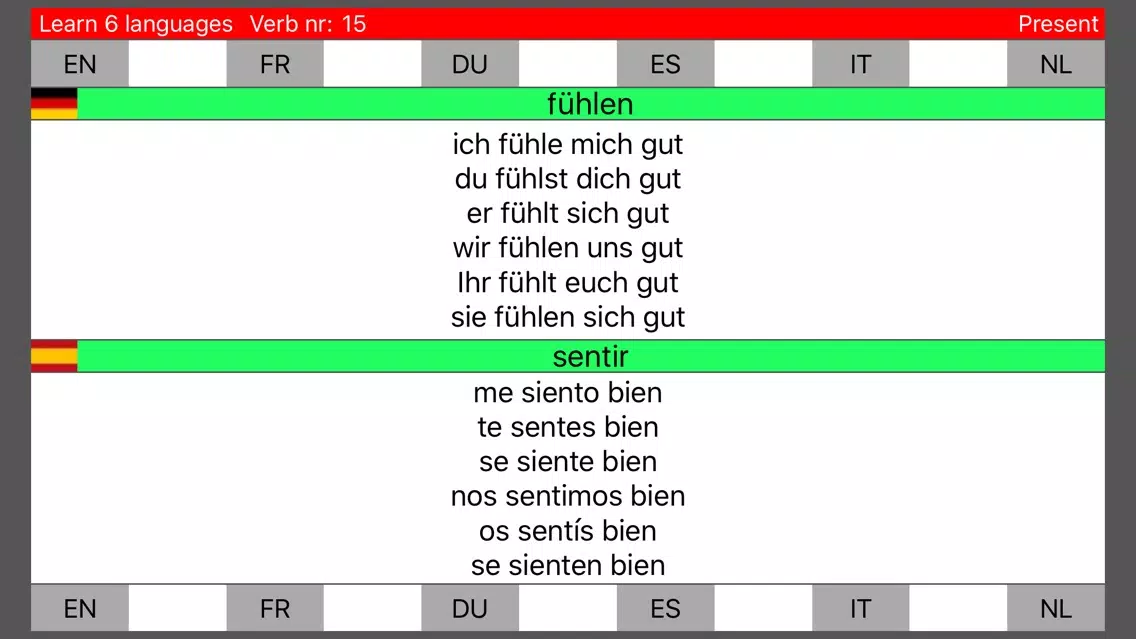 Learn 6 languages simultane using verbs PRO应用截图