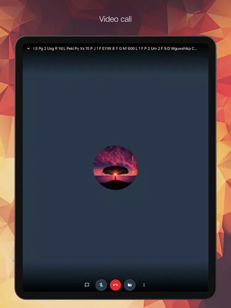 Tangkapan skrin Learn Stepbystep iPad 
