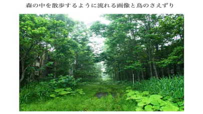 癒しの音と写真で自律神経整えるRelaxPhotoSound स्क्रीनशॉट