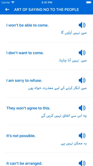 Tangkapan skrin Learn English from Urdu