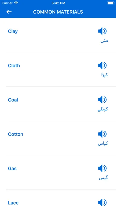 Tangkapan skrin Learn English from Urdu