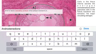 Histo! Screenshots