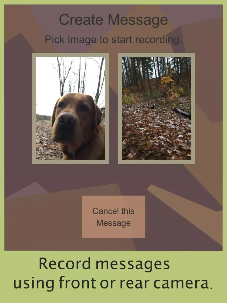 Capturas de tela do Message Hunt AR iPad 