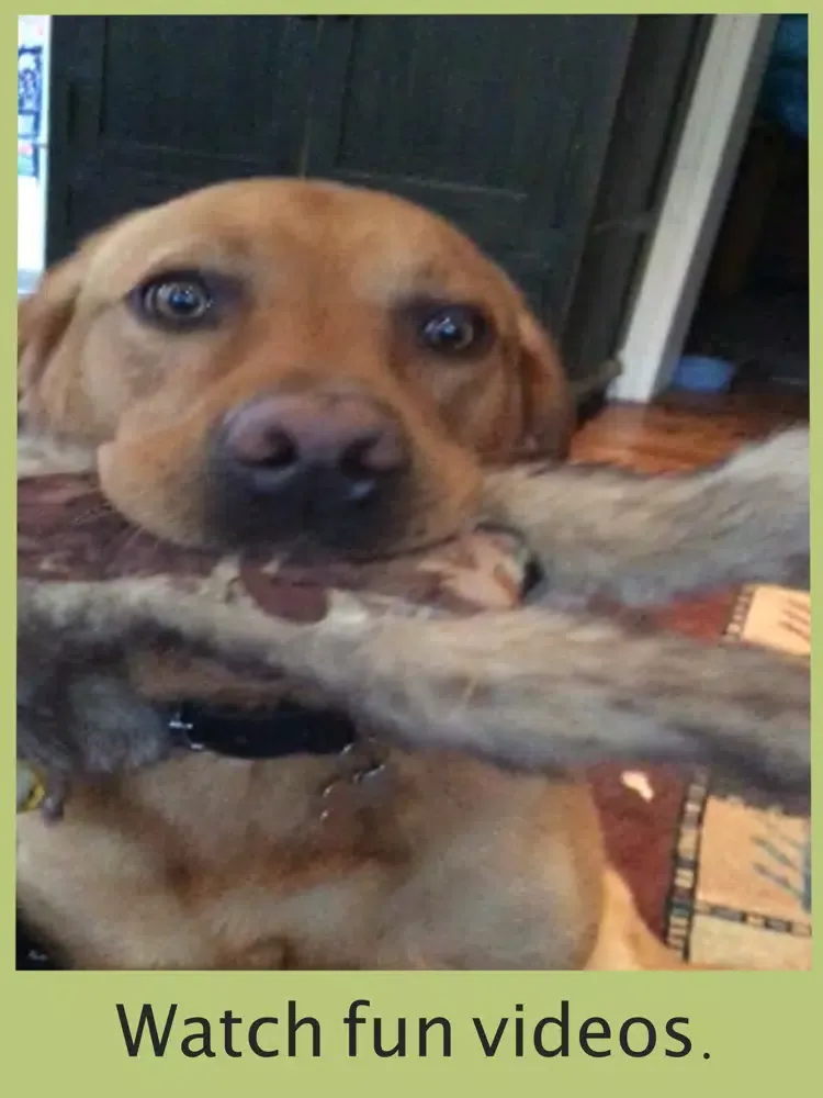 Capturas de tela do Message Hunt AR iPad 
