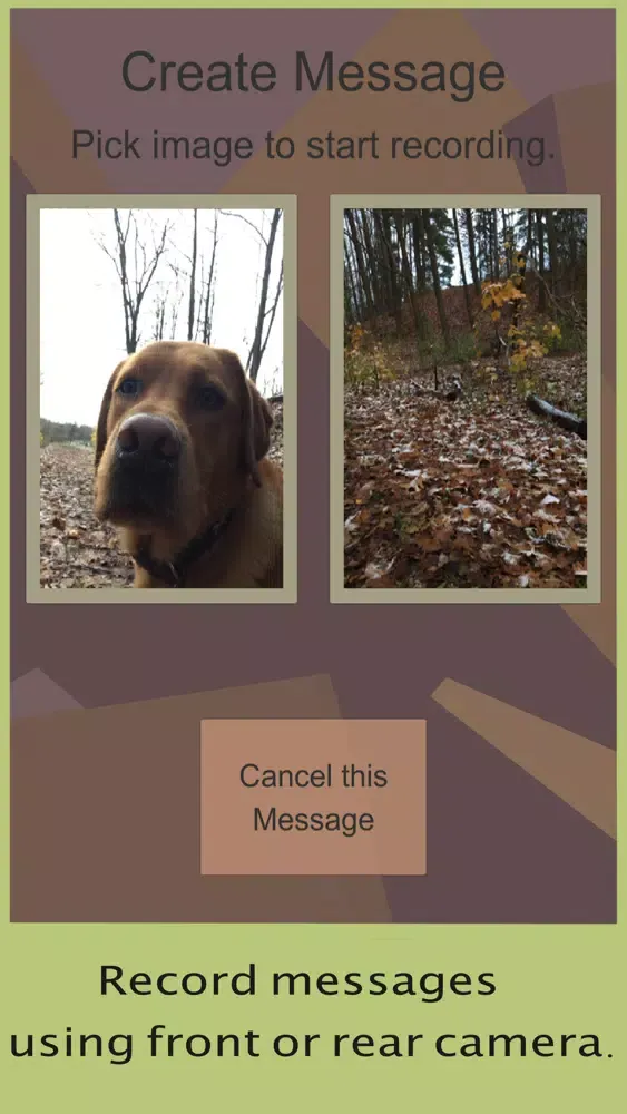 Capturas de tela do Message Hunt AR