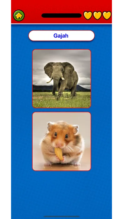 Tangkapan skrin Learn Indonesian Flashcard