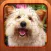 Cute Dog Jigsaw Puzzles for Kids - Animal Learning Fun Games