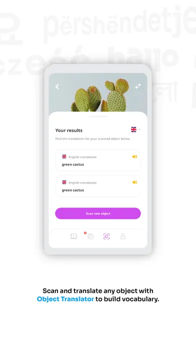 Скриншоты FlashAcademy Language Learning