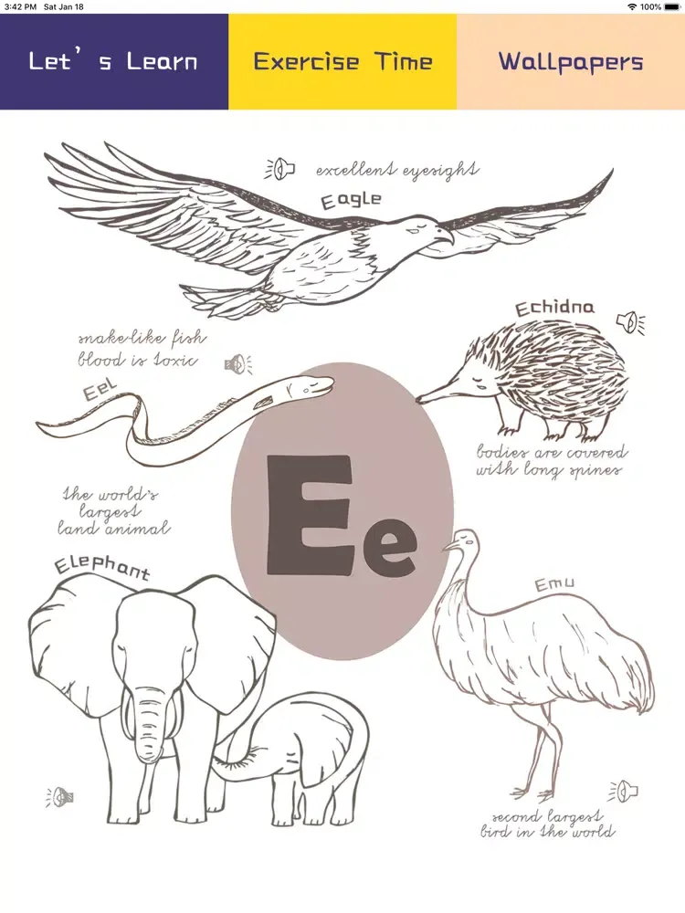 The Animal Alphabet iPad 應用截圖