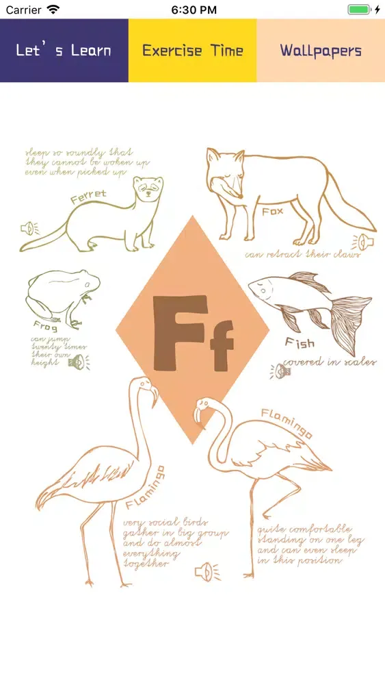 The Animal Alphabet應用截圖