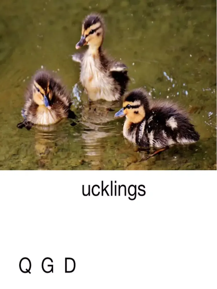 Capturas de pantalla de Animal Alphabet - Letter Sounds Lite iPad 