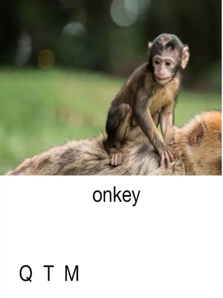 Capturas de pantalla de Animal Alphabet - Letter Sounds Lite iPad 