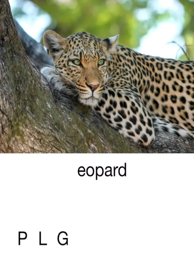 Capturas de pantalla de Animal Alphabet - Letter Sounds Lite iPad 