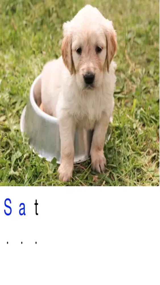 My Animal Book - Learn to Read 스크린샷