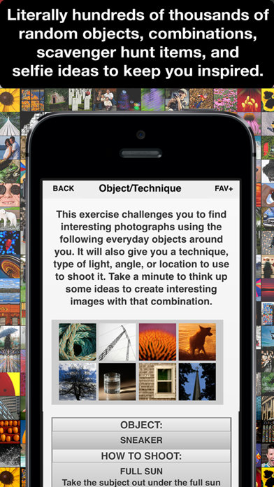 Learn Photo365 iPhotography Assignment Generator应用截图