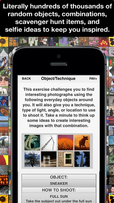 Learn Photo365 iPhotography Assignment Generator应用截图