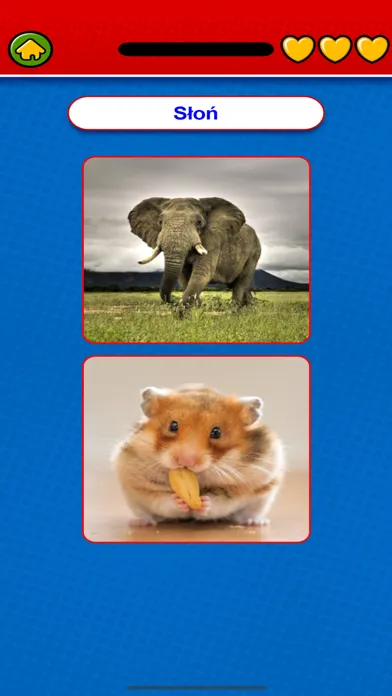 Capturas de pantalla de Game to learn Polish Voca