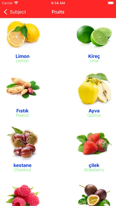 Learn Turkish Beginner Primary应用截图