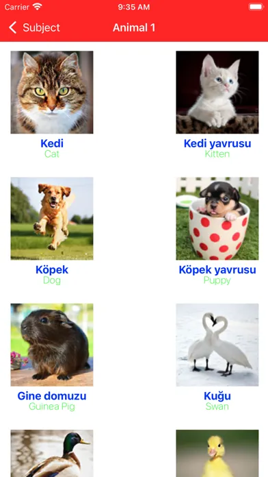 Learn Turkish Beginner Primary应用截图
