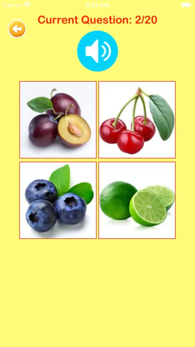 Learn Turkish Beginner Primary应用截图