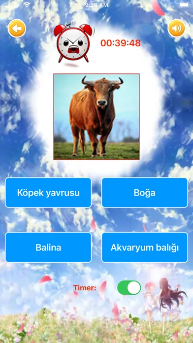 Learn Turkish Beginner Primary应用截图
