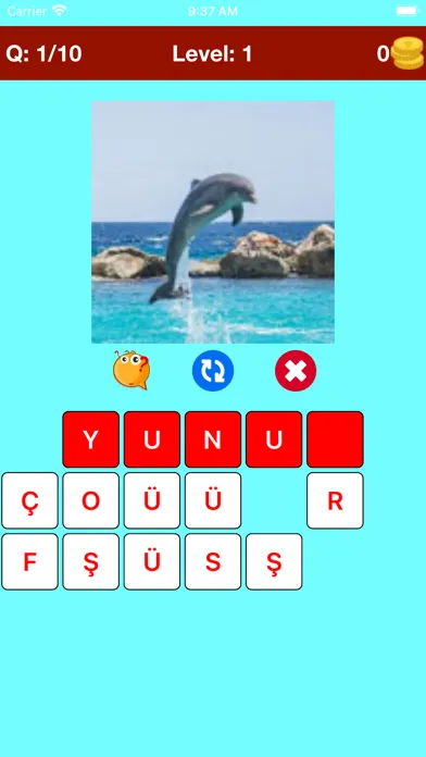 Learn Turkish Beginner Primary应用截图