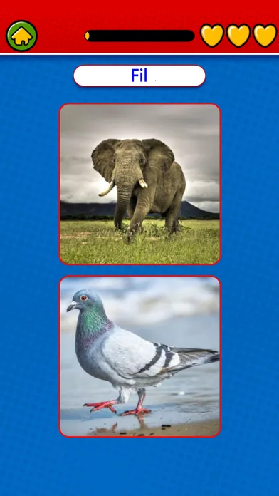 Game to learn Turkish Voca 스크린샷
