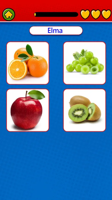 Game to learn Turkish Voca 스크린샷
